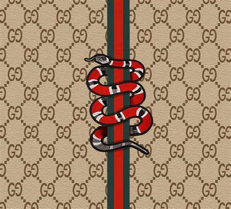 gucci kit drumkit|gucci kit reddit.